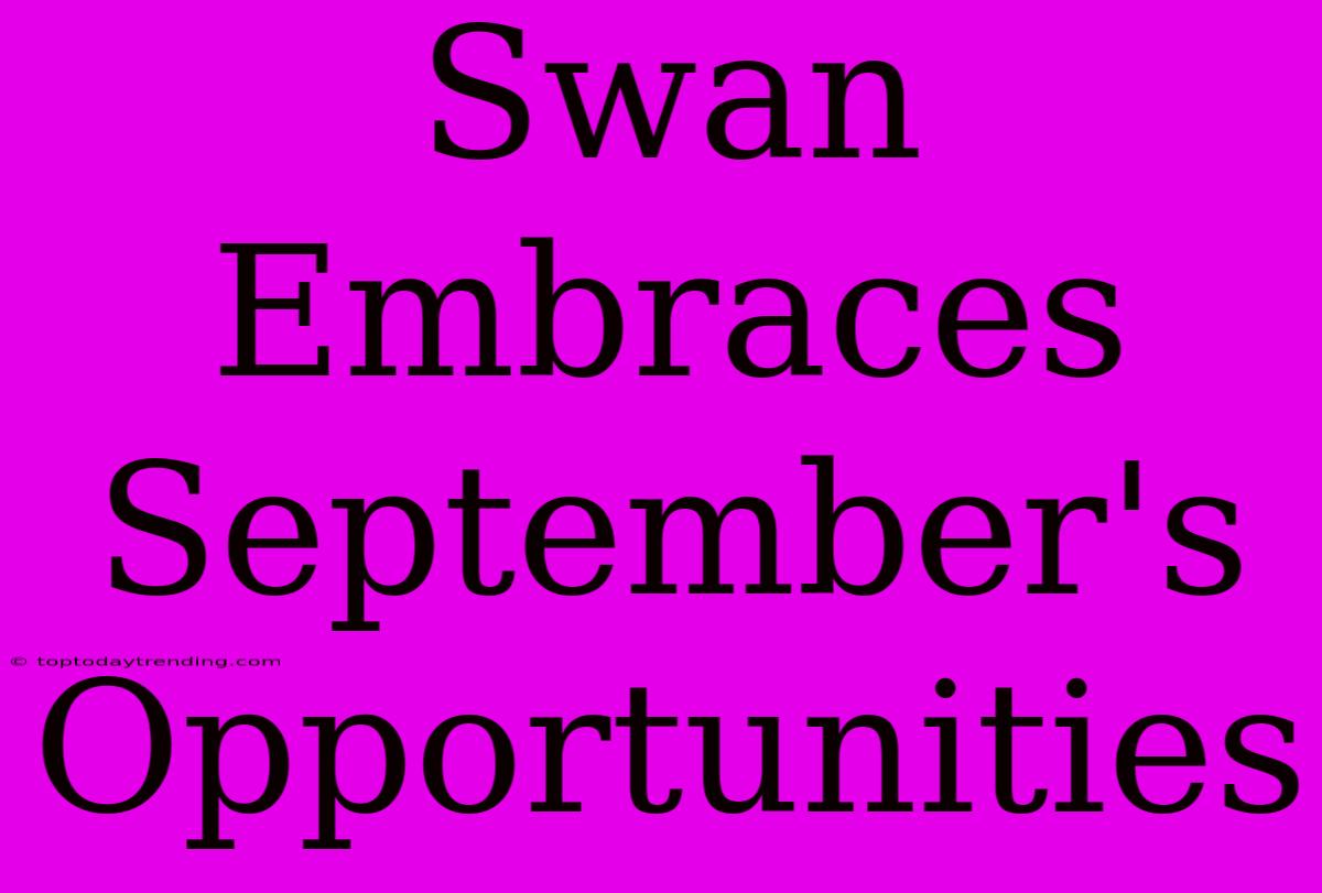 Swan Embraces September's Opportunities