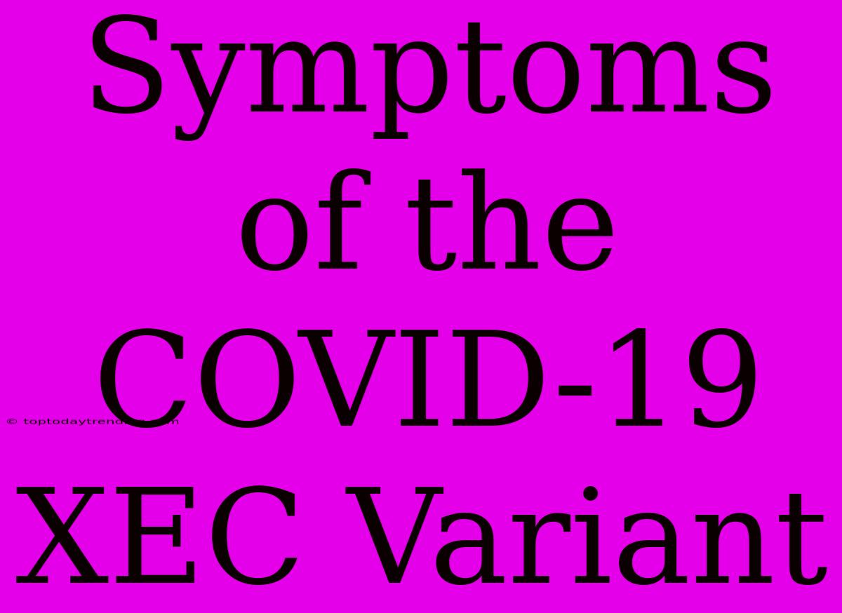 Symptoms Of The COVID-19 XEC Variant