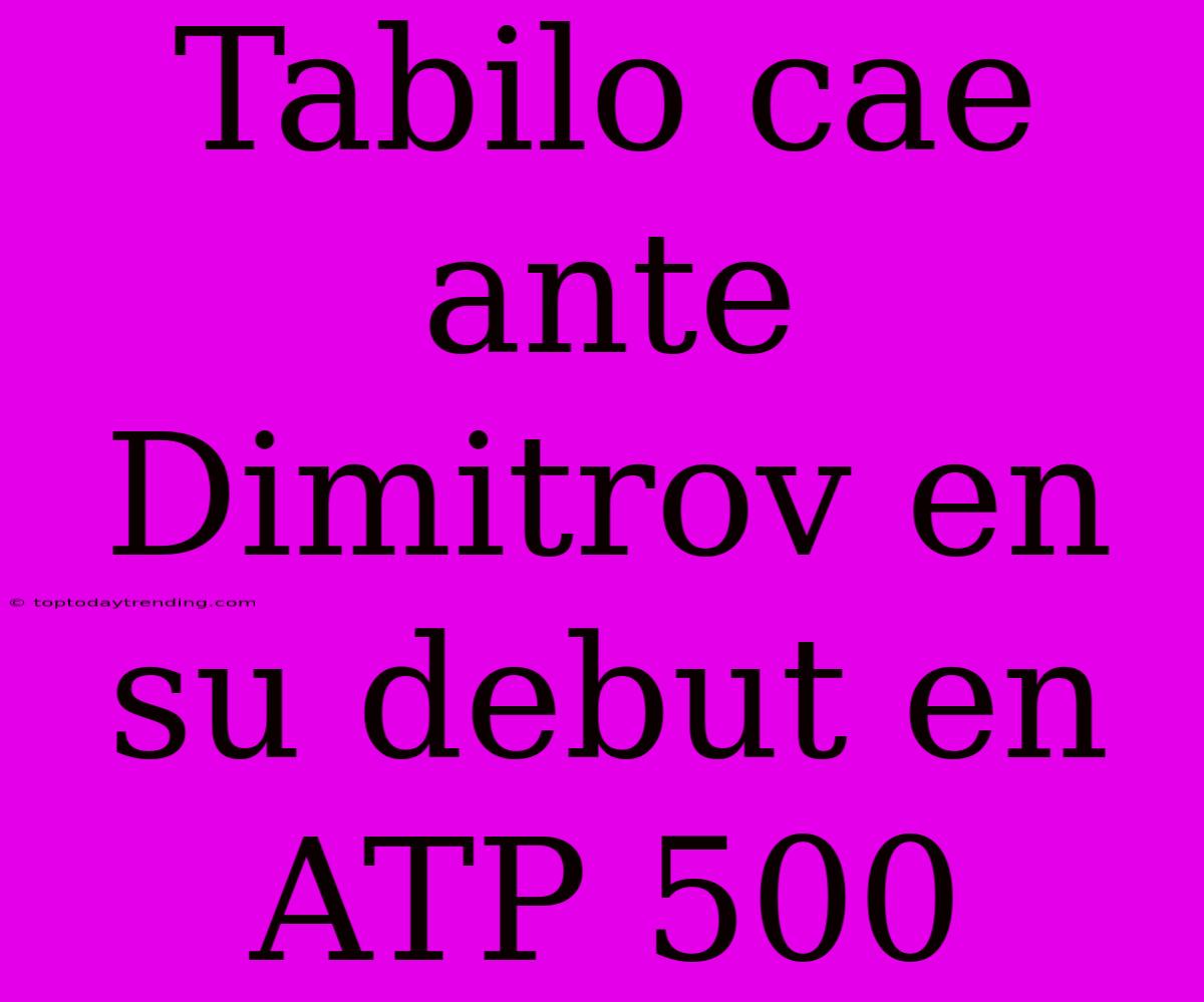 Tabilo Cae Ante Dimitrov En Su Debut En ATP 500