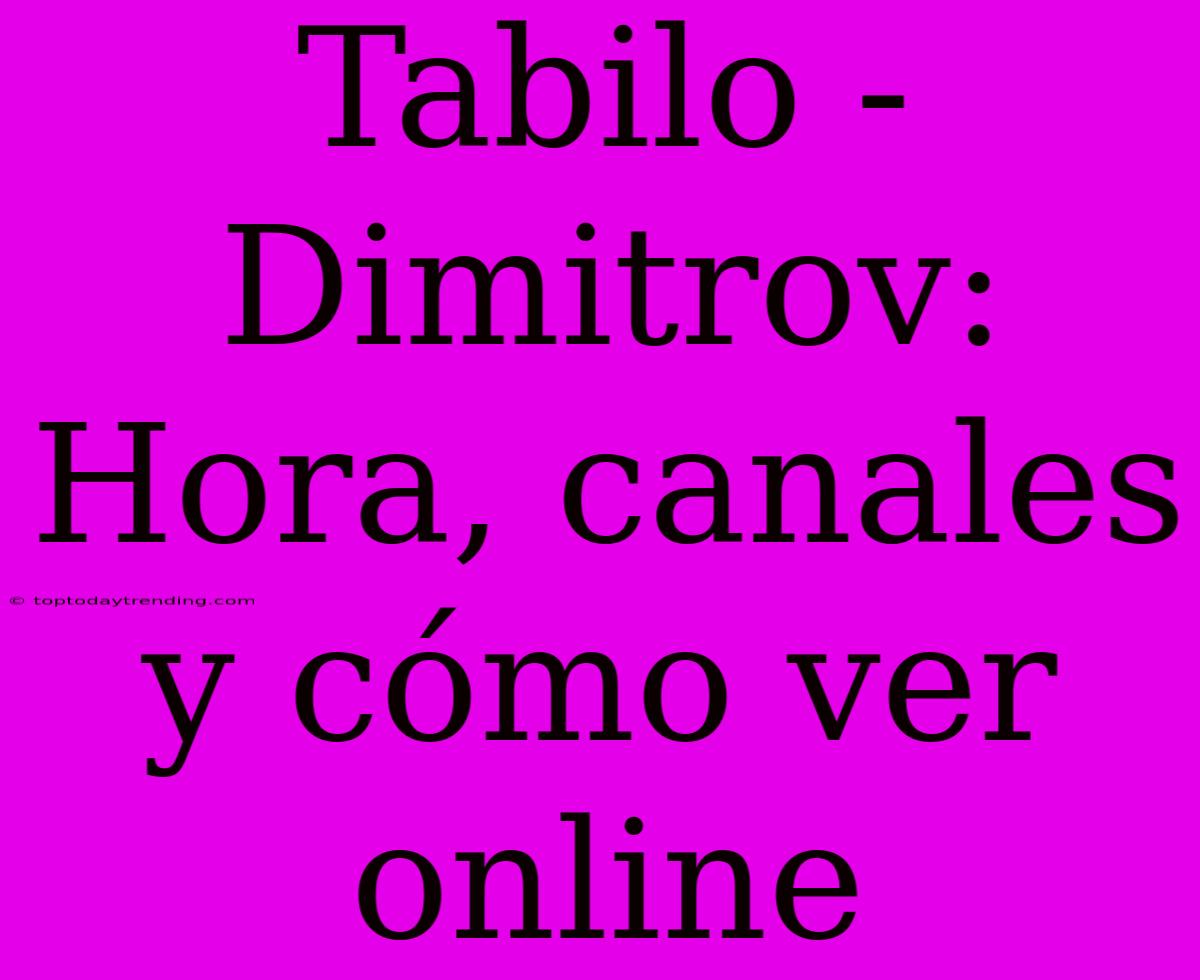 Tabilo - Dimitrov: Hora, Canales Y Cómo Ver Online