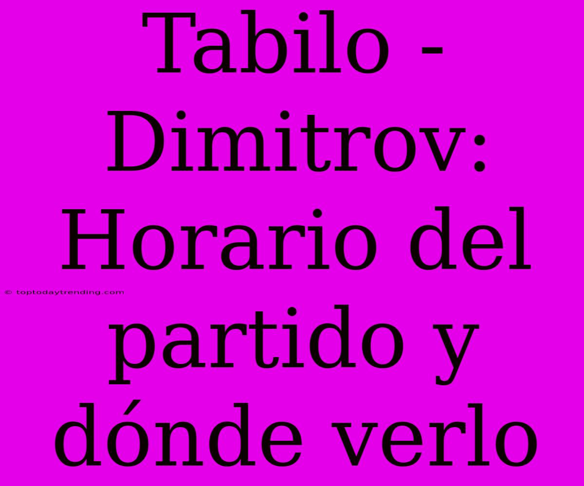 Tabilo - Dimitrov: Horario Del Partido Y Dónde Verlo