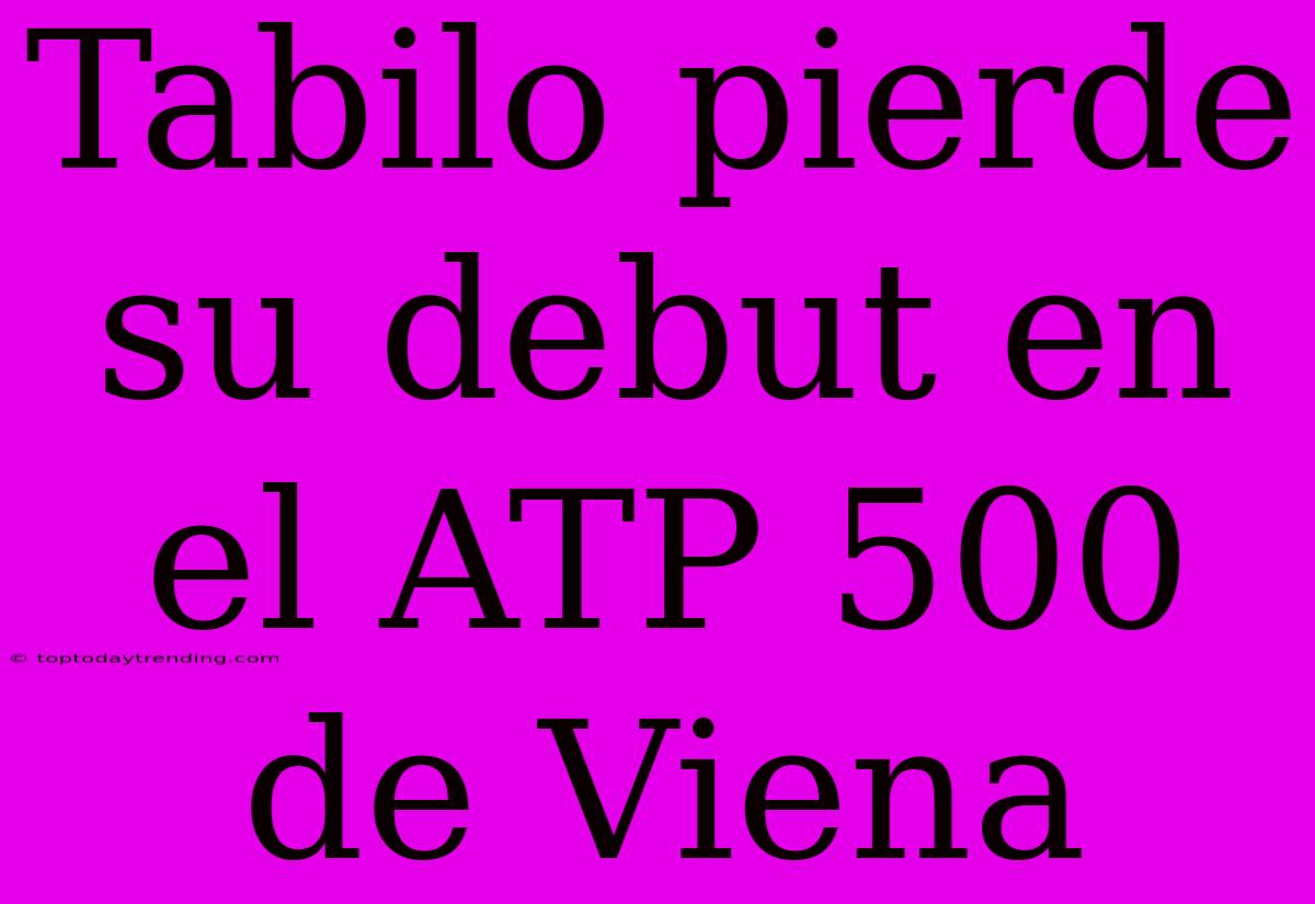 Tabilo Pierde Su Debut En El ATP 500 De Viena