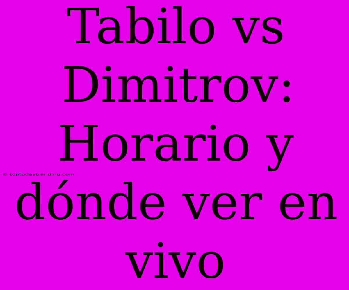 Tabilo Vs Dimitrov: Horario Y Dónde Ver En Vivo