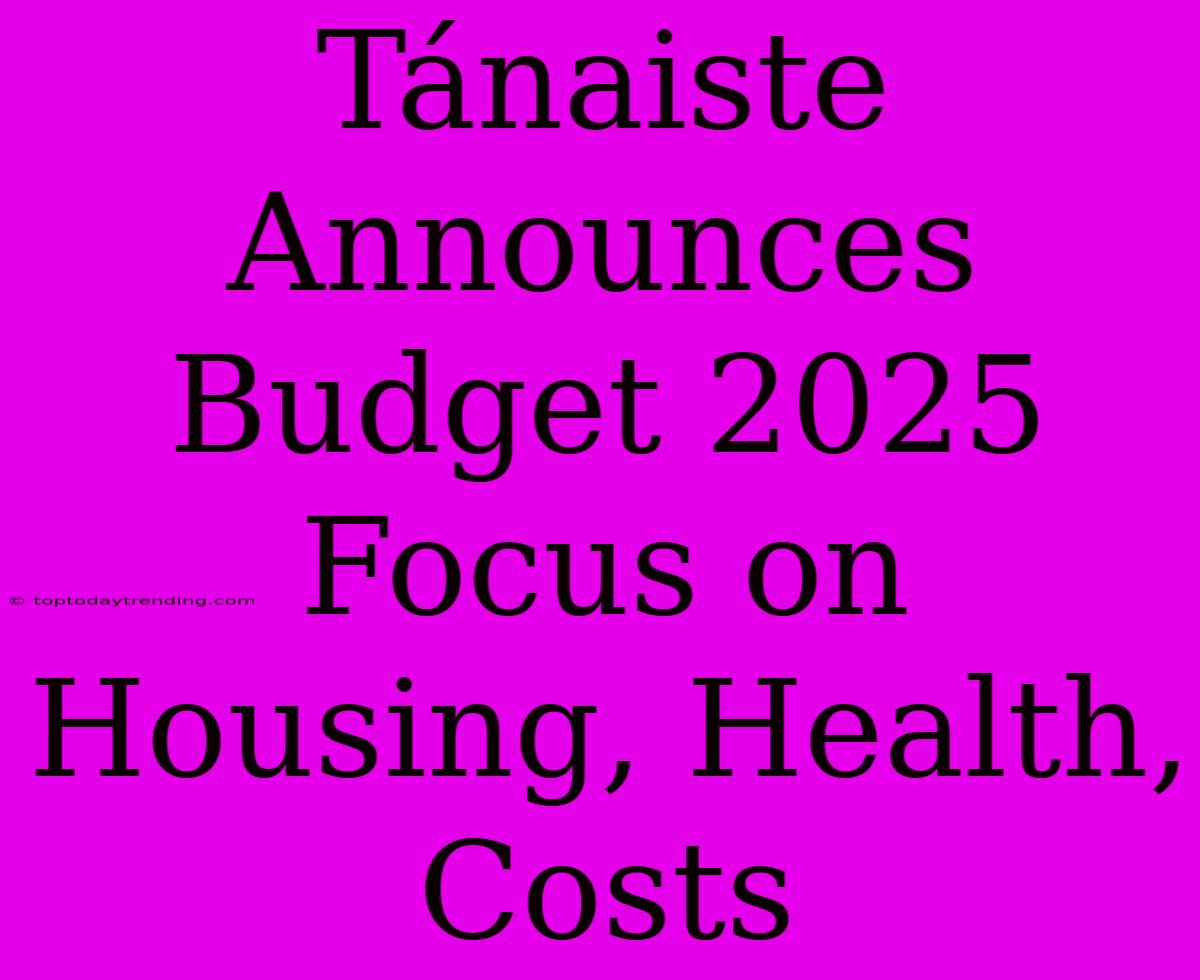 Tánaiste Announces Budget 2025 Focus On Housing, Health, Costs