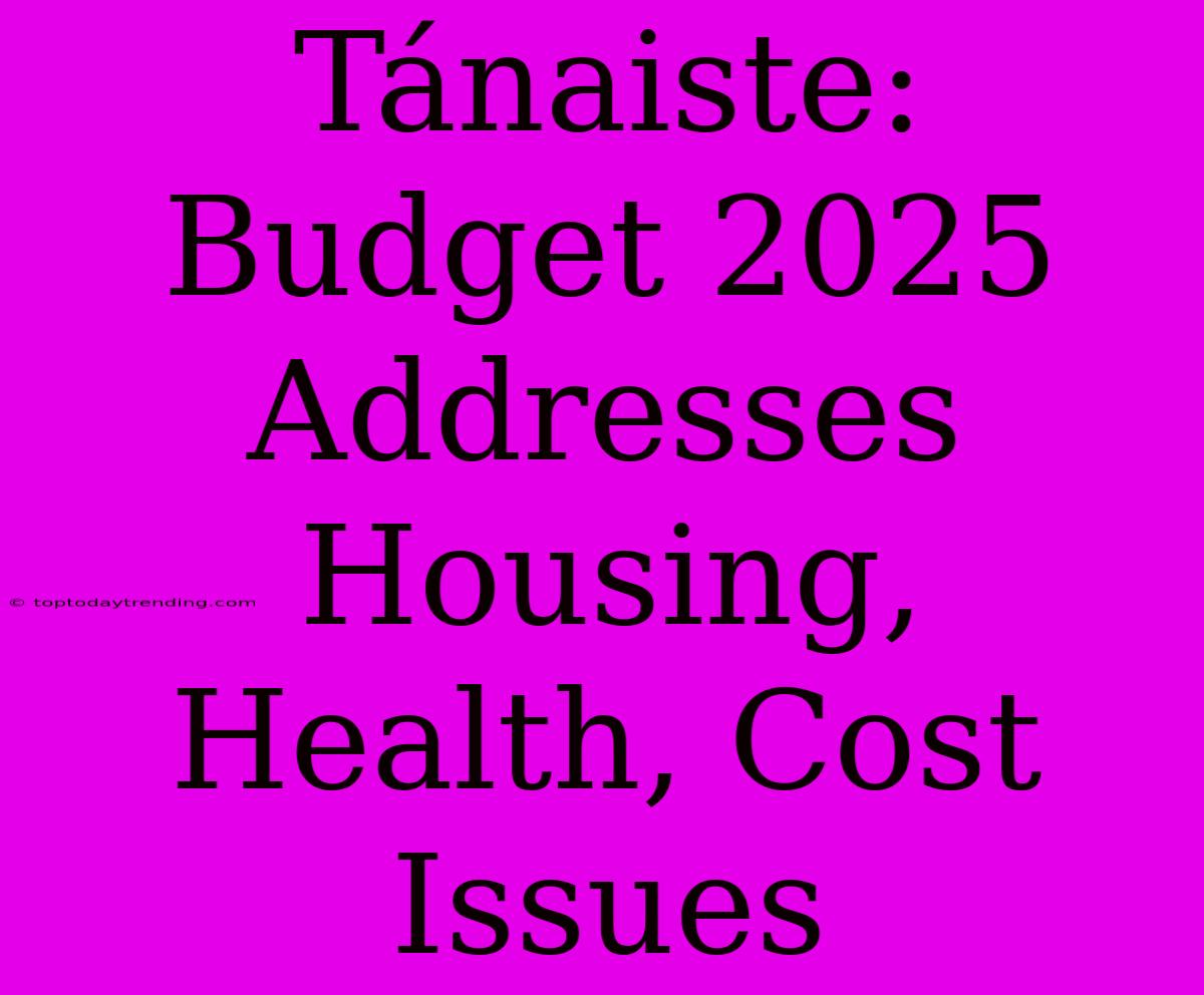 Tánaiste: Budget 2025 Addresses Housing, Health, Cost Issues