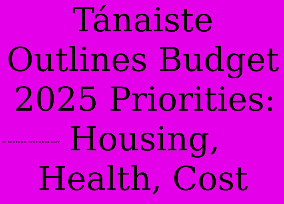 Tánaiste Outlines Budget 2025 Priorities: Housing, Health, Cost