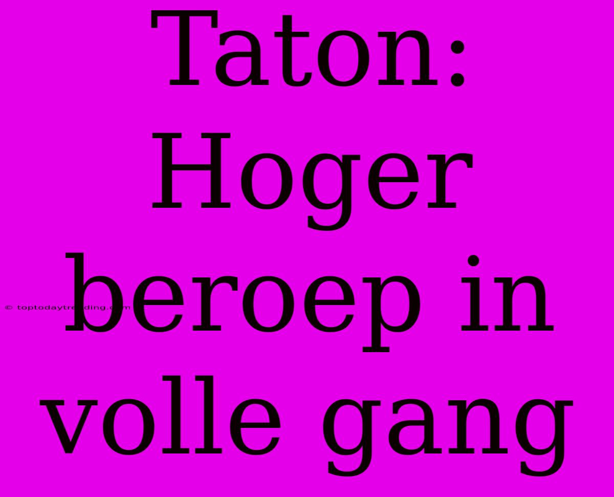 Taton: Hoger Beroep In Volle Gang