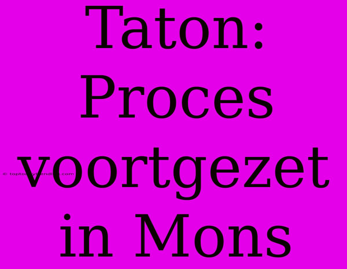 Taton: Proces Voortgezet In Mons