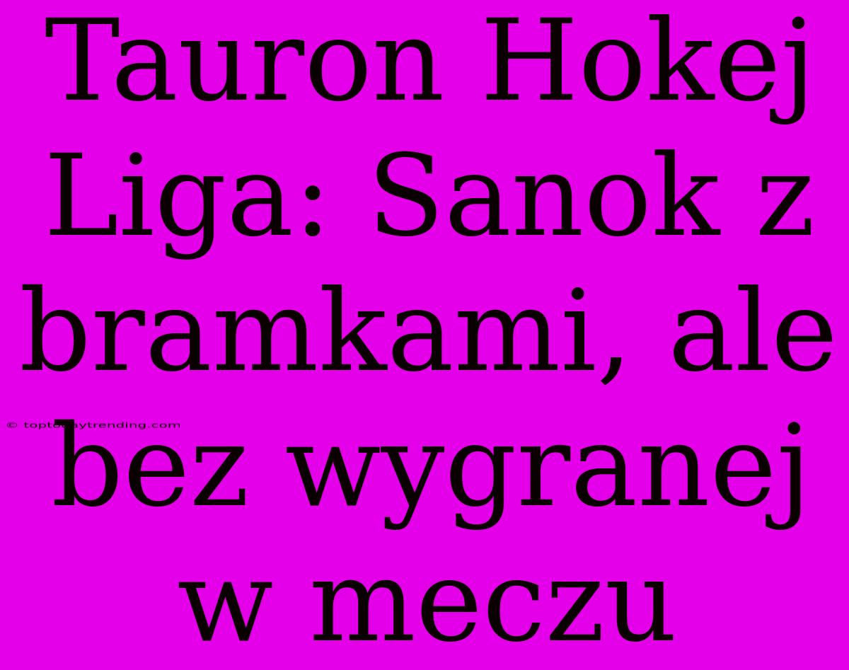 Tauron Hokej Liga: Sanok Z Bramkami, Ale Bez Wygranej W Meczu