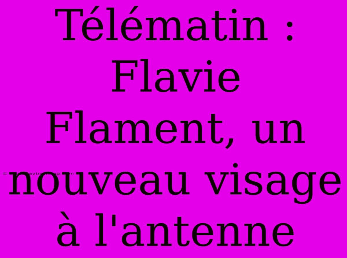 Télématin : Flavie Flament, Un Nouveau Visage À L'antenne