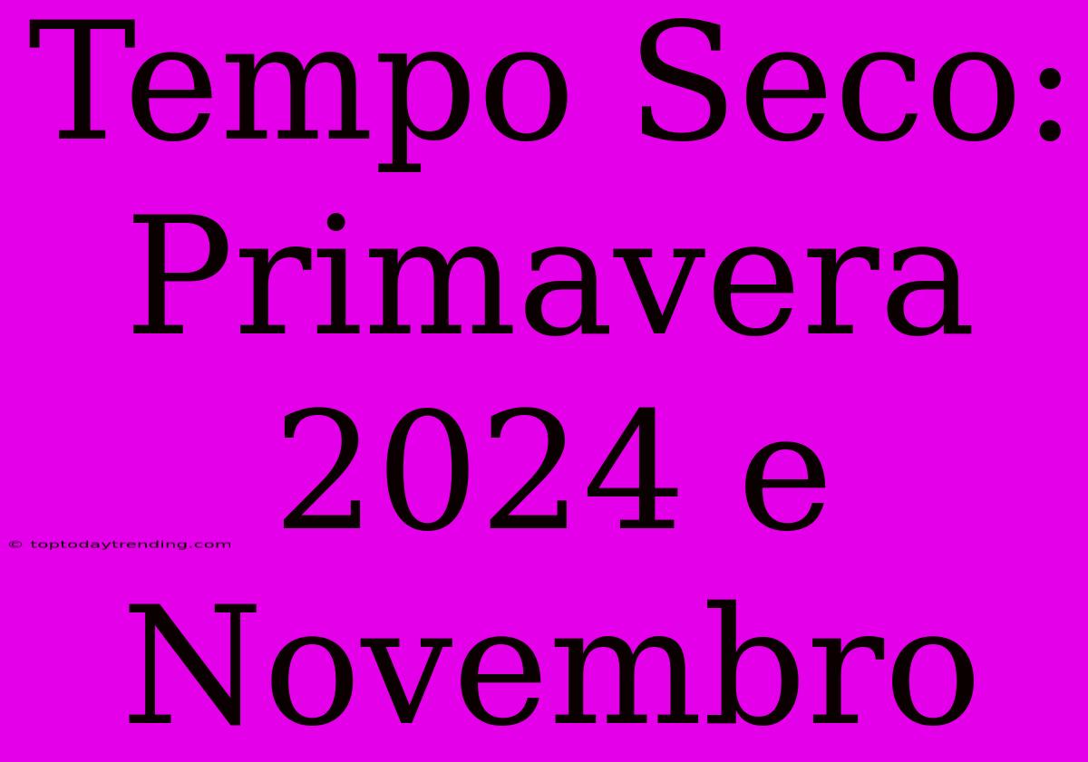 Tempo Seco: Primavera 2024 E Novembro