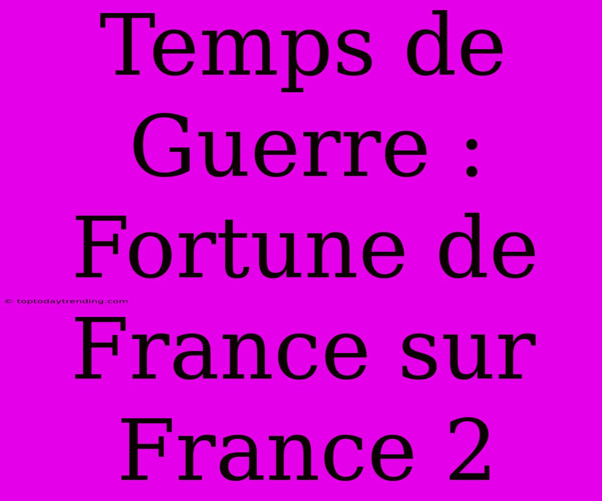 Temps De Guerre : Fortune De France Sur France 2