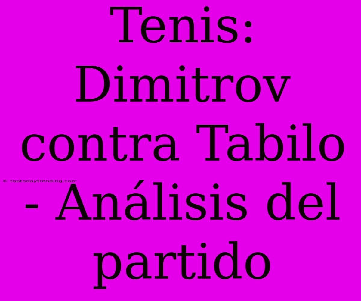 Tenis: Dimitrov Contra Tabilo - Análisis Del Partido