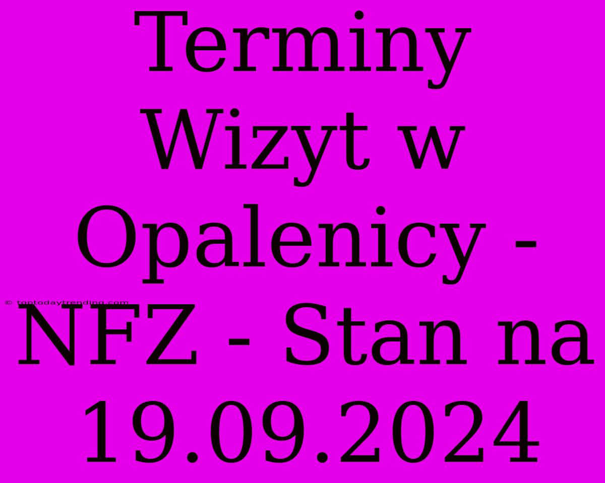 Terminy Wizyt W Opalenicy - NFZ - Stan Na 19.09.2024