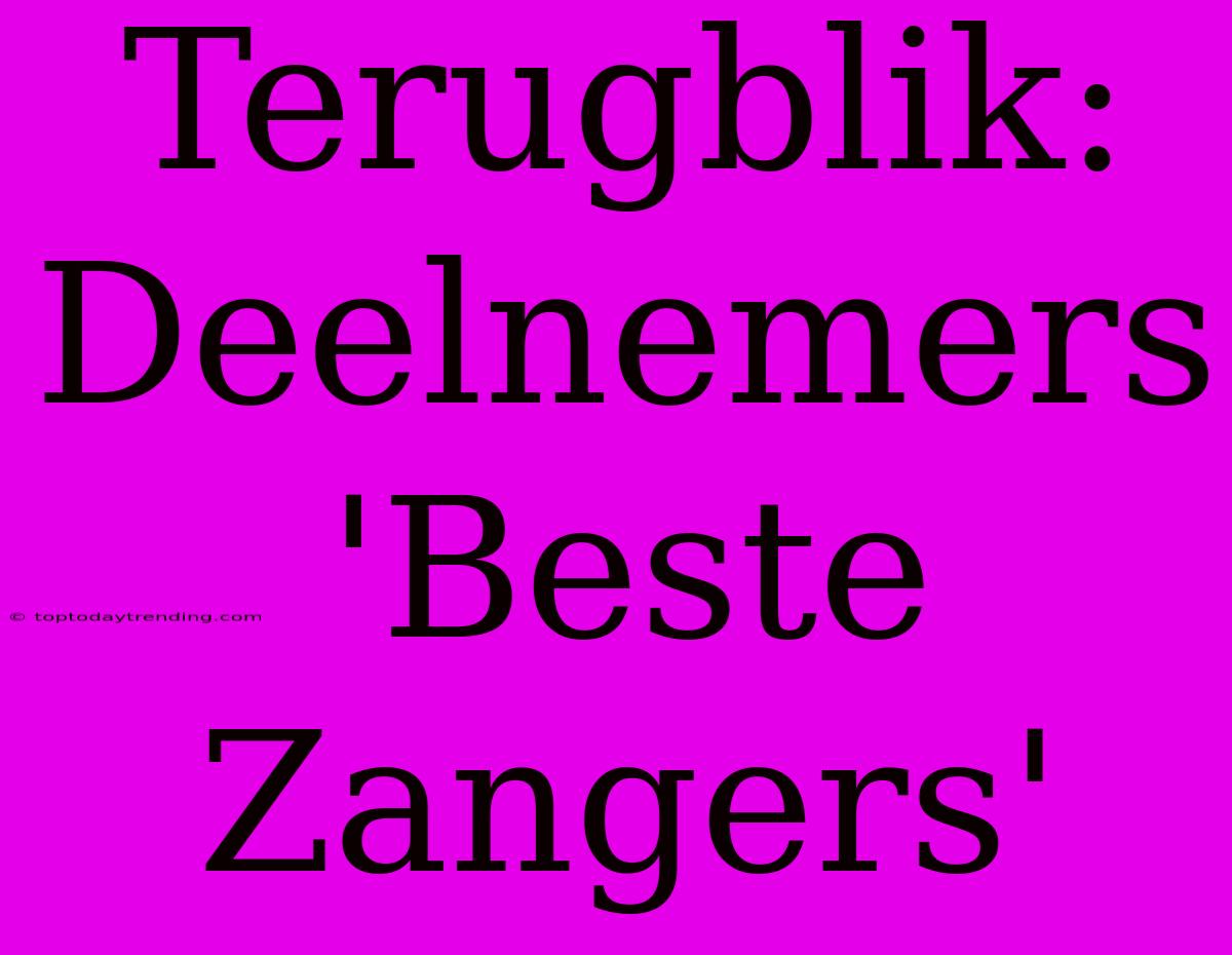 Terugblik: Deelnemers 'Beste Zangers'