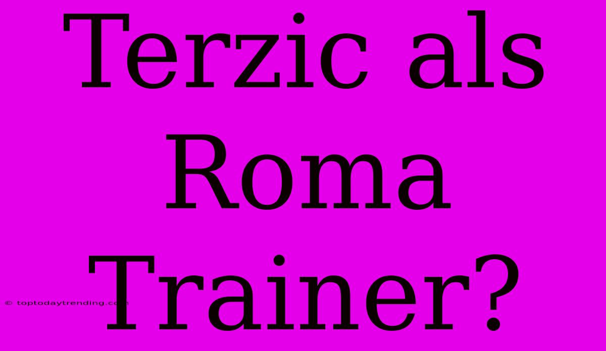 Terzic Als Roma Trainer?