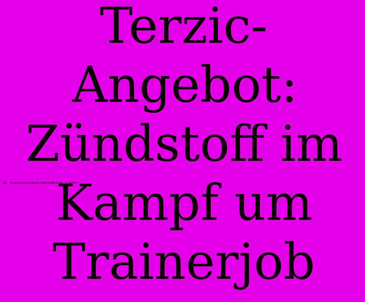 Terzic-Angebot: Zündstoff Im Kampf Um Trainerjob