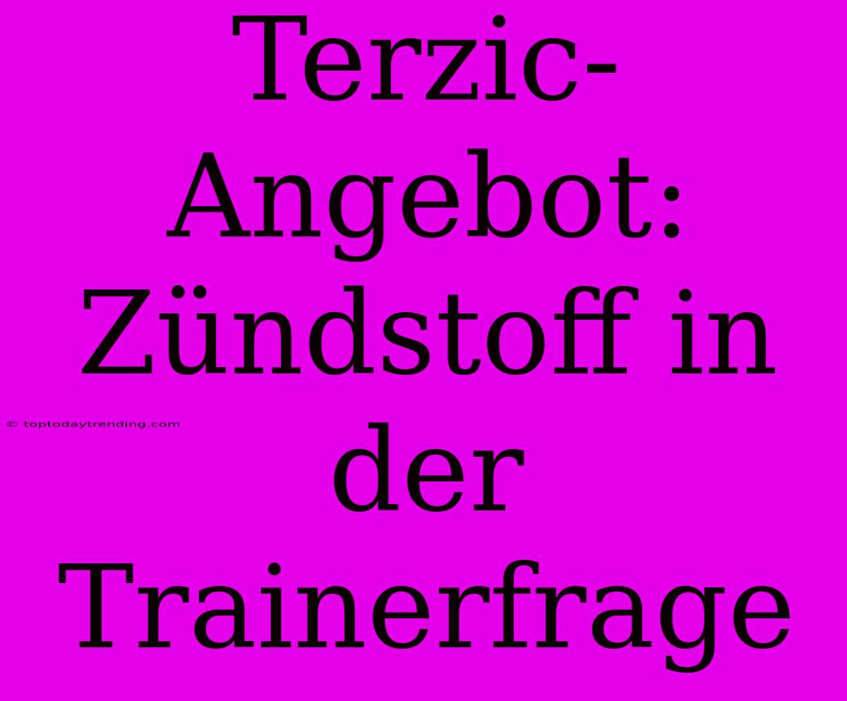 Terzic-Angebot: Zündstoff In Der Trainerfrage