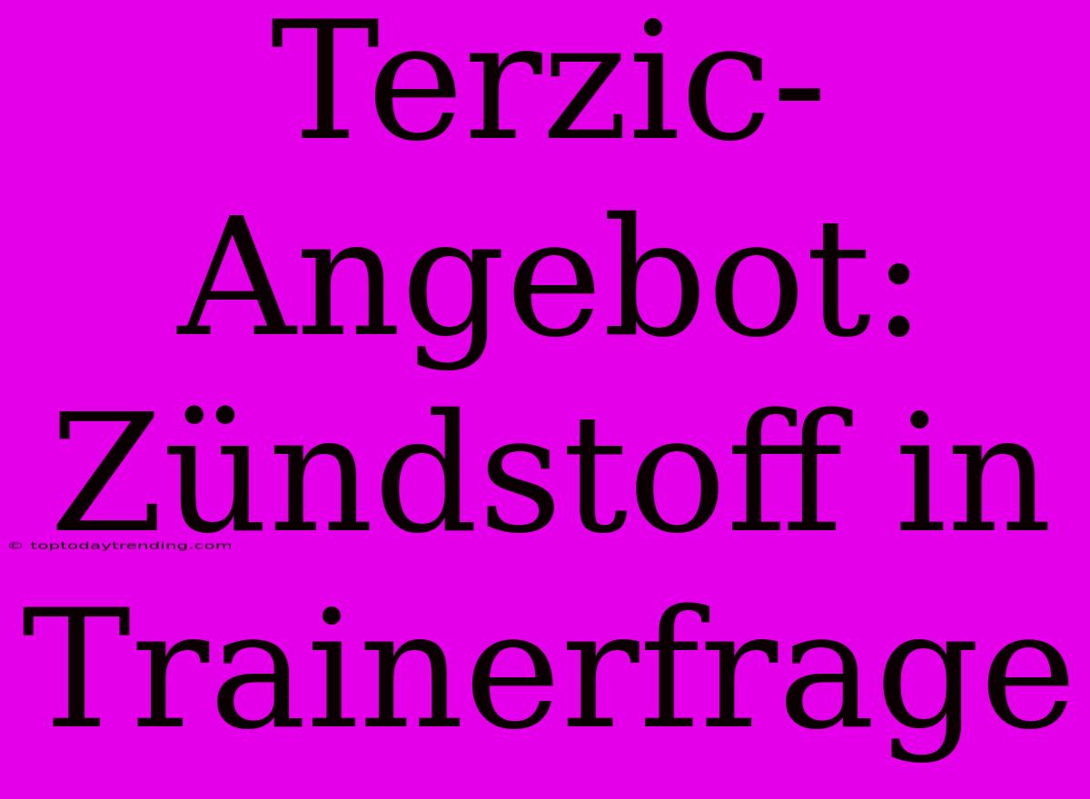 Terzic-Angebot: Zündstoff In Trainerfrage