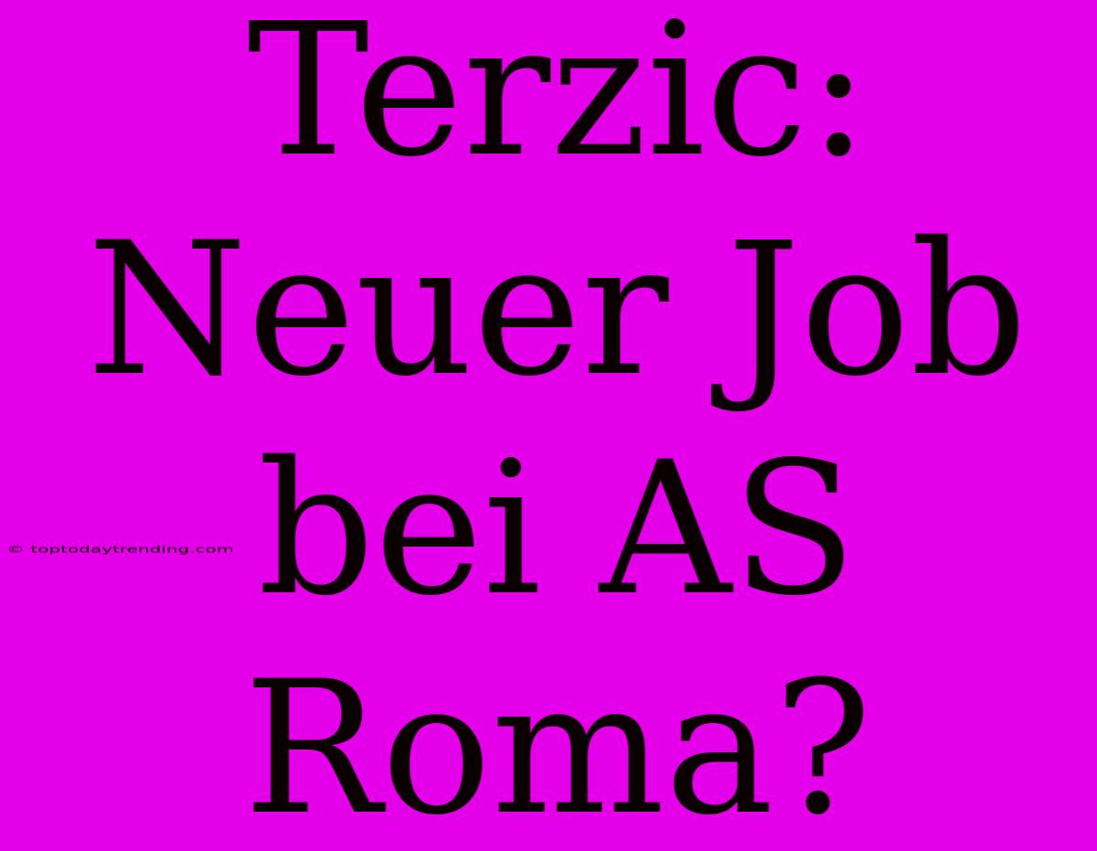 Terzic: Neuer Job Bei AS Roma?