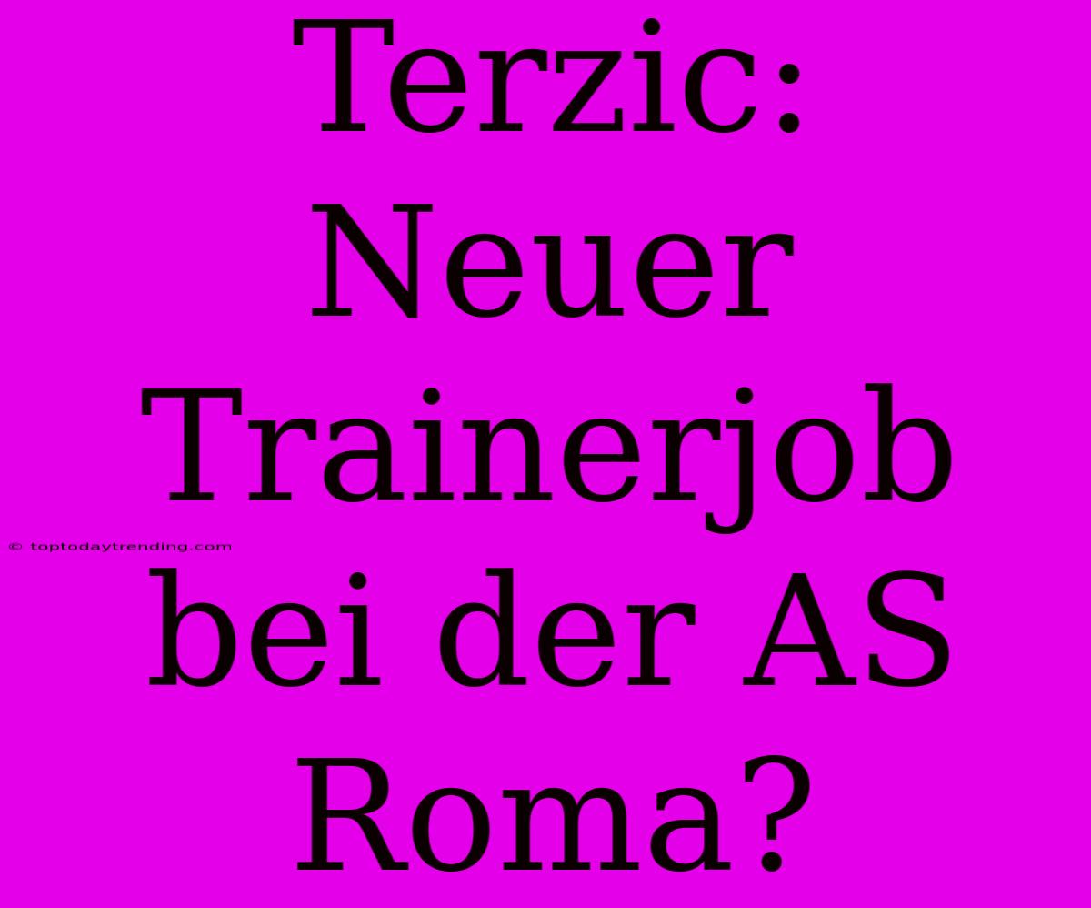 Terzic: Neuer Trainerjob Bei Der AS Roma?