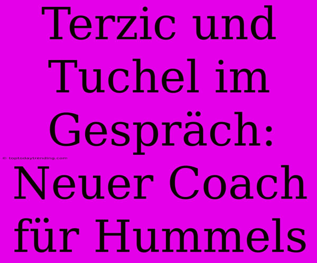 Terzic Und Tuchel Im Gespräch: Neuer Coach Für Hummels