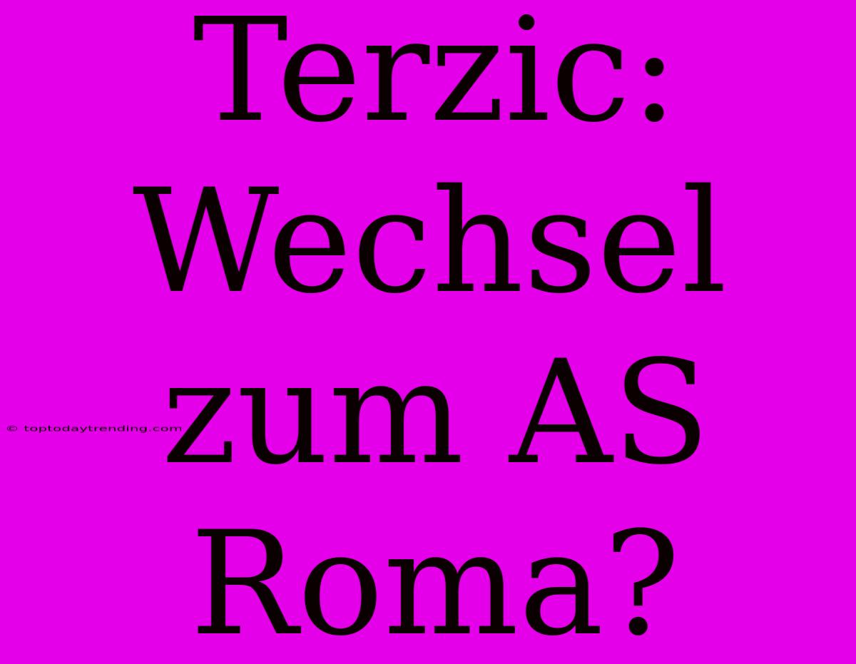 Terzic: Wechsel Zum AS Roma?