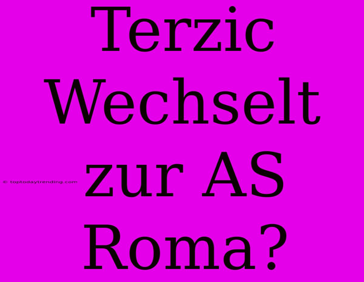 Terzic Wechselt Zur AS Roma?