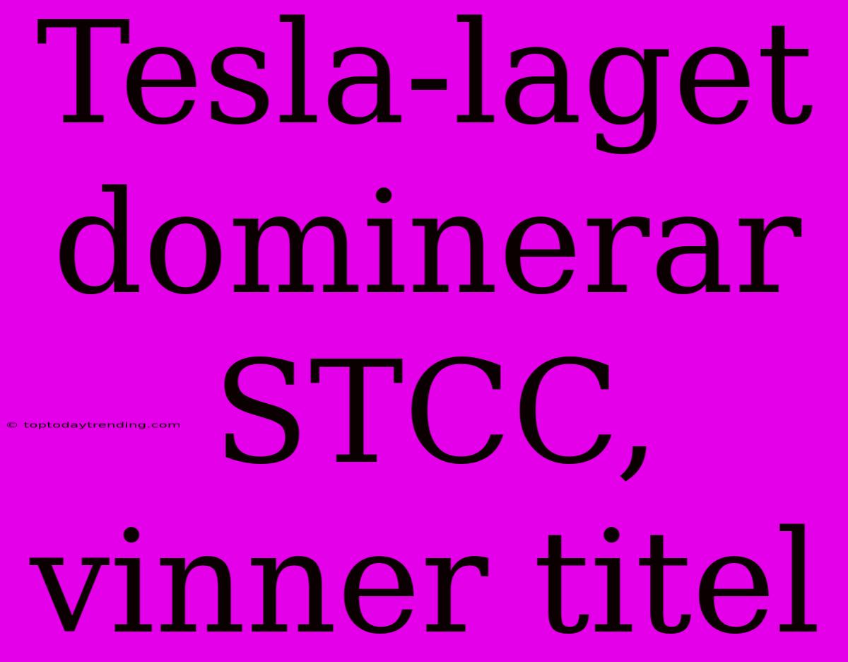 Tesla-laget Dominerar STCC, Vinner Titel