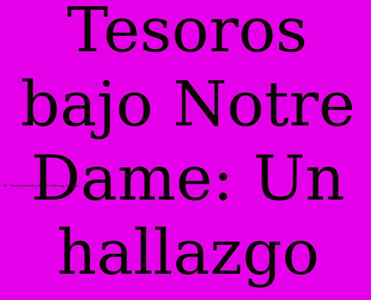 Tesoros Bajo Notre Dame: Un Hallazgo