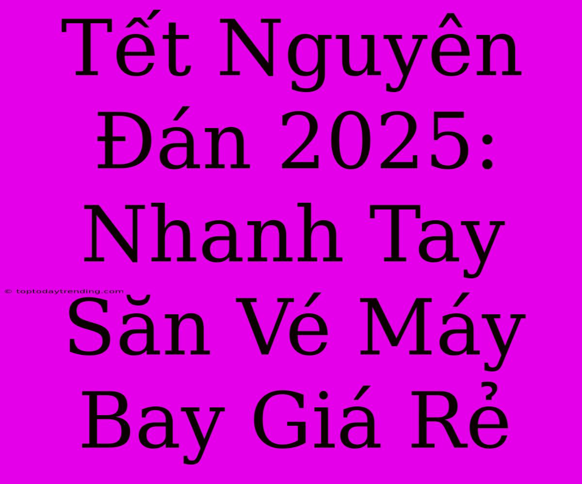 Tết Nguyên Đán 2025: Nhanh Tay Săn Vé Máy Bay Giá Rẻ