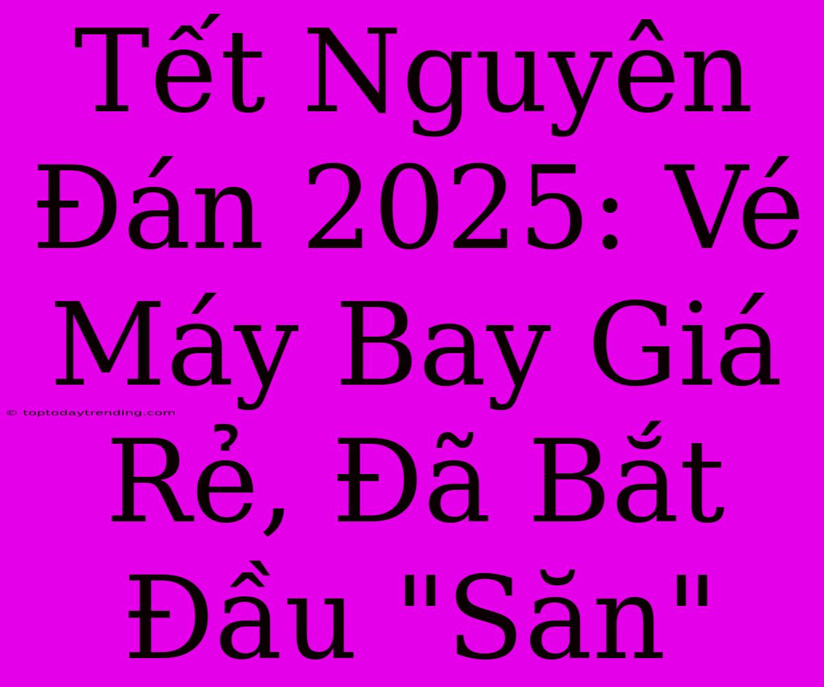 Tết Nguyên Đán 2025: Vé Máy Bay Giá Rẻ, Đã Bắt Đầu 