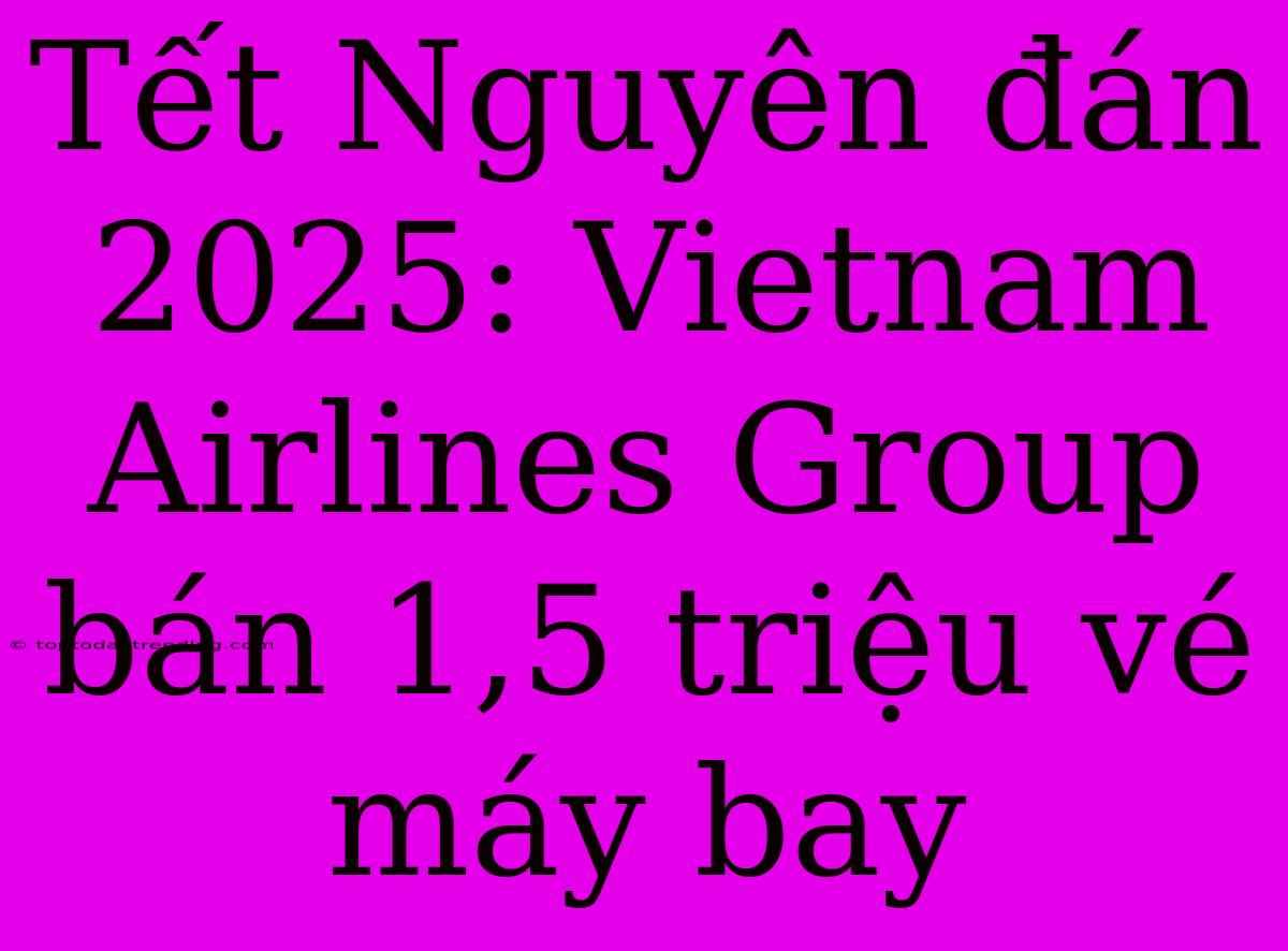 Tết Nguyên Đán 2025: Vietnam Airlines Group Bán 1,5 Triệu Vé Máy Bay