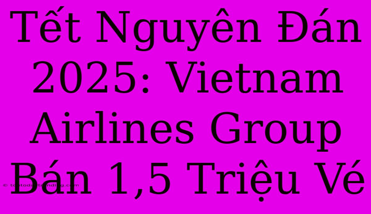 Tết Nguyên Đán 2025: Vietnam Airlines Group Bán 1,5 Triệu Vé