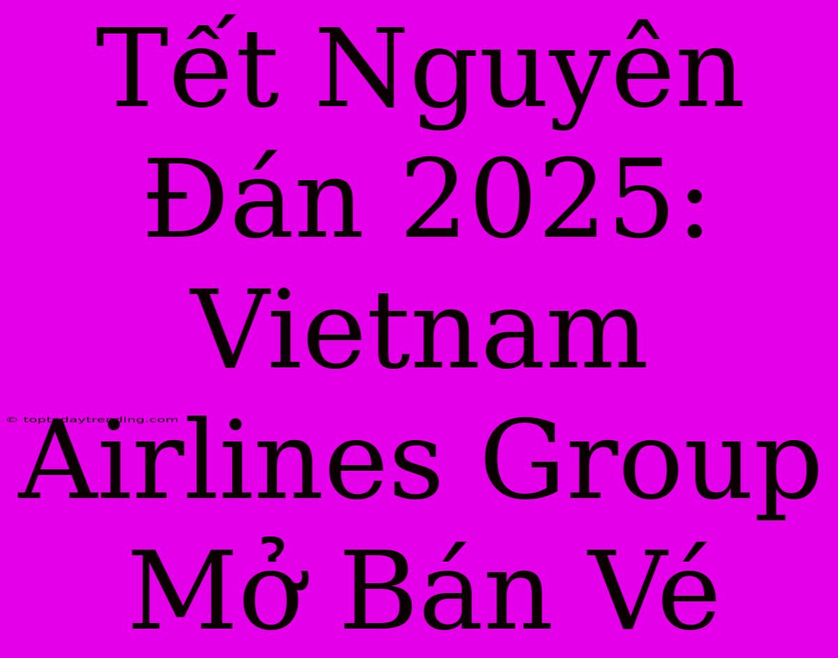 Tết Nguyên Đán 2025: Vietnam Airlines Group Mở Bán Vé