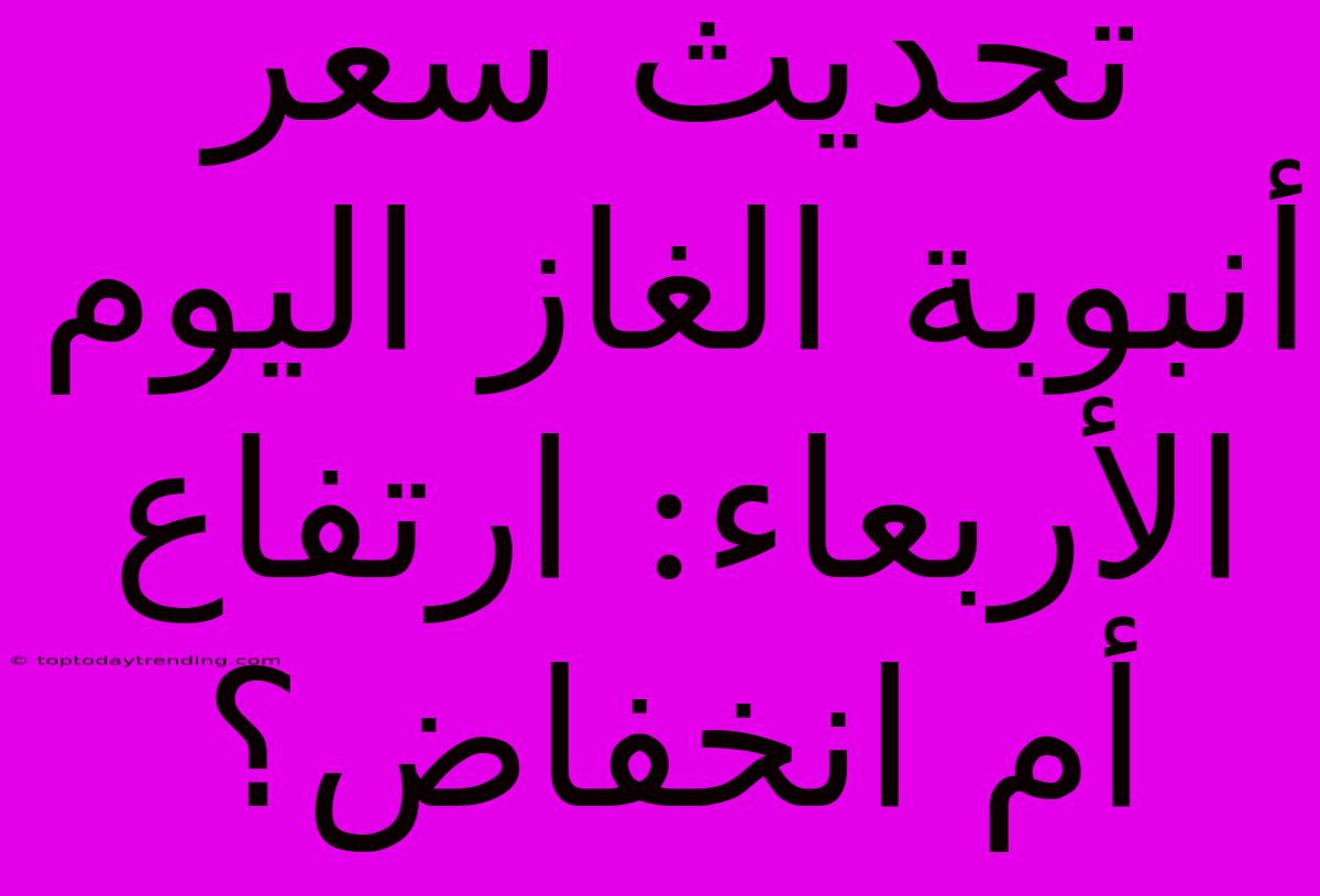 تحديث سعر أنبوبة الغاز اليوم الأربعاء: ارتفاع أم انخفاض؟