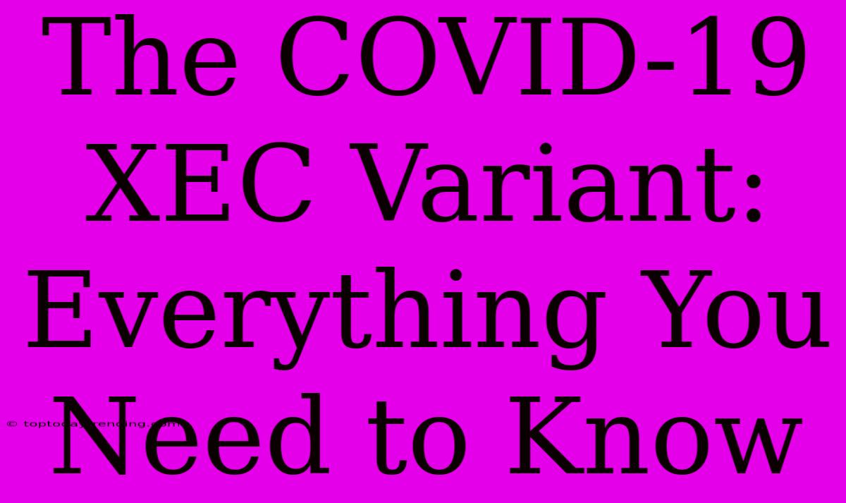 The COVID-19 XEC Variant: Everything You Need To Know