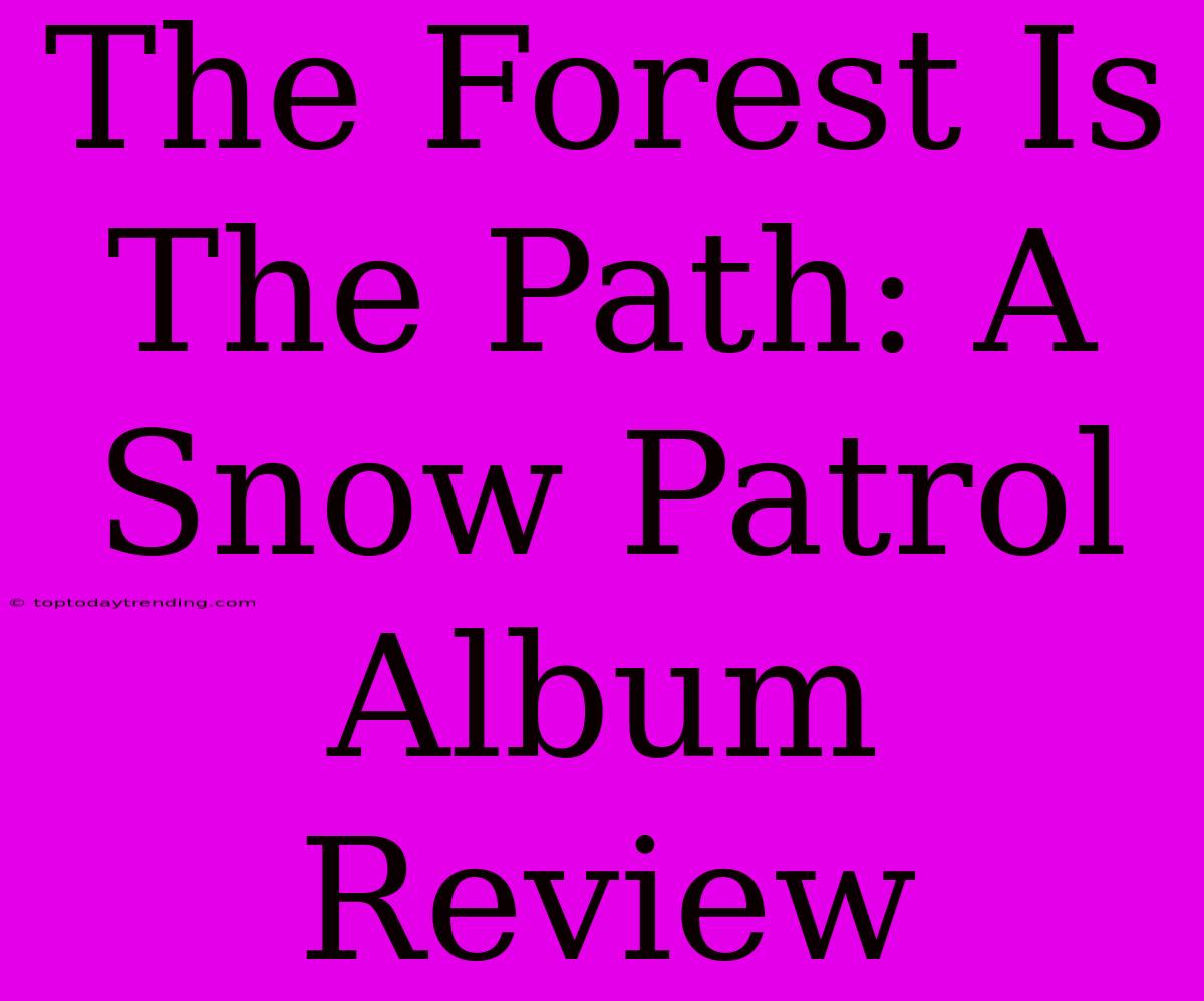 The Forest Is The Path: A Snow Patrol Album Review