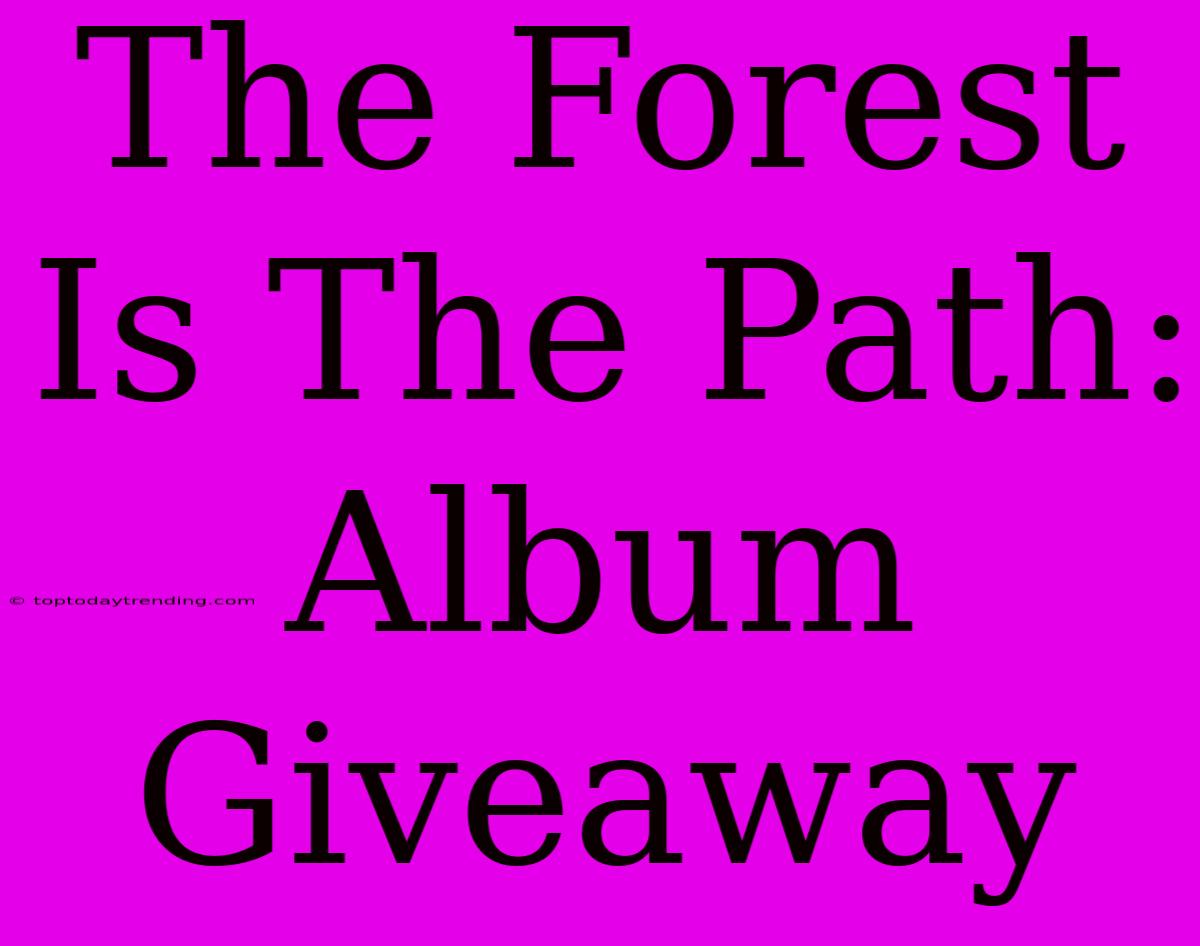 The Forest Is The Path: Album Giveaway