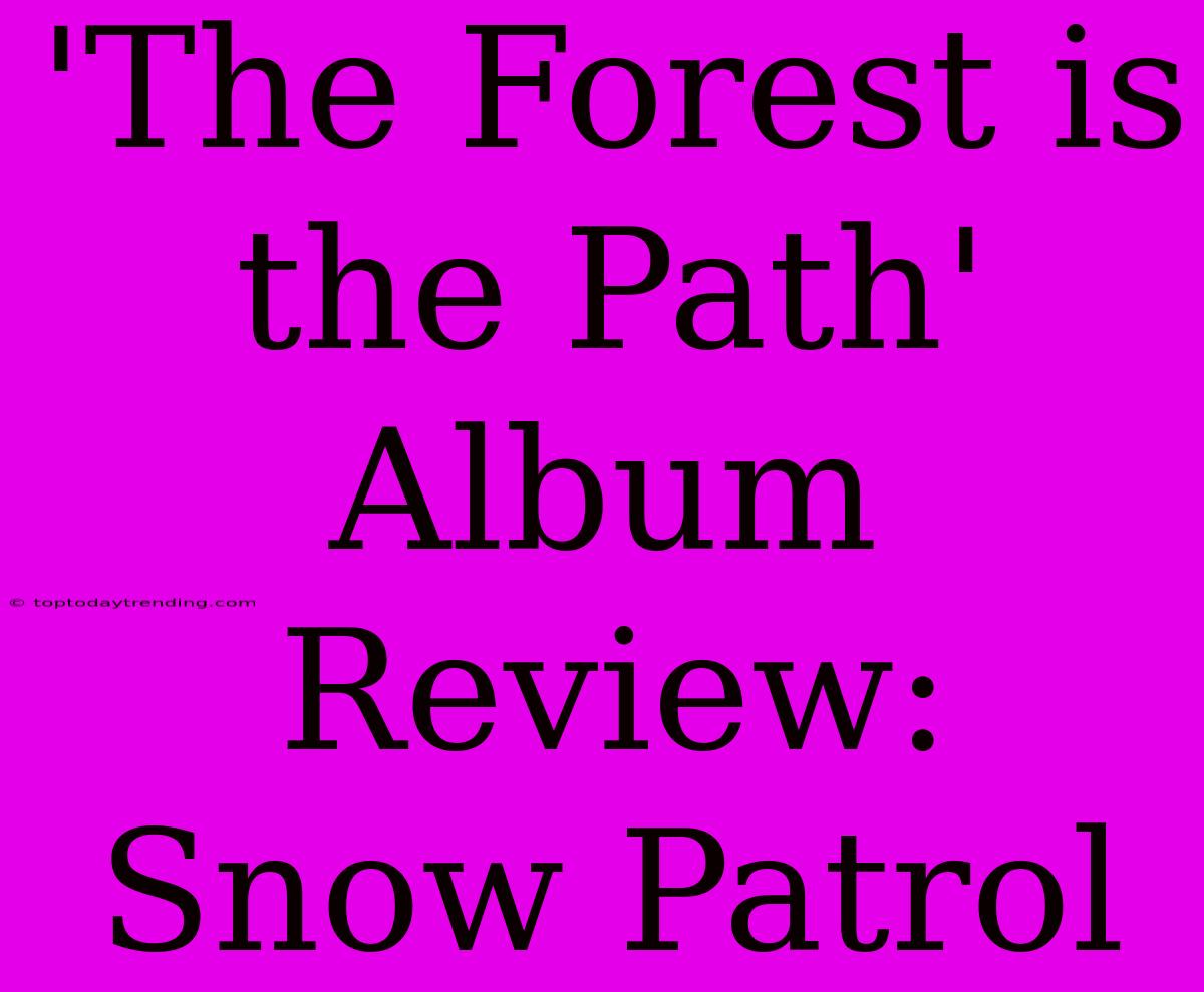 'The Forest Is The Path' Album Review: Snow Patrol