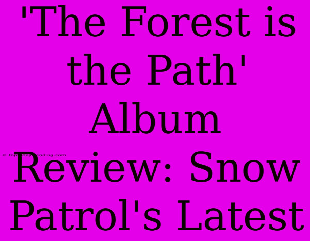 'The Forest Is The Path' Album Review: Snow Patrol's Latest