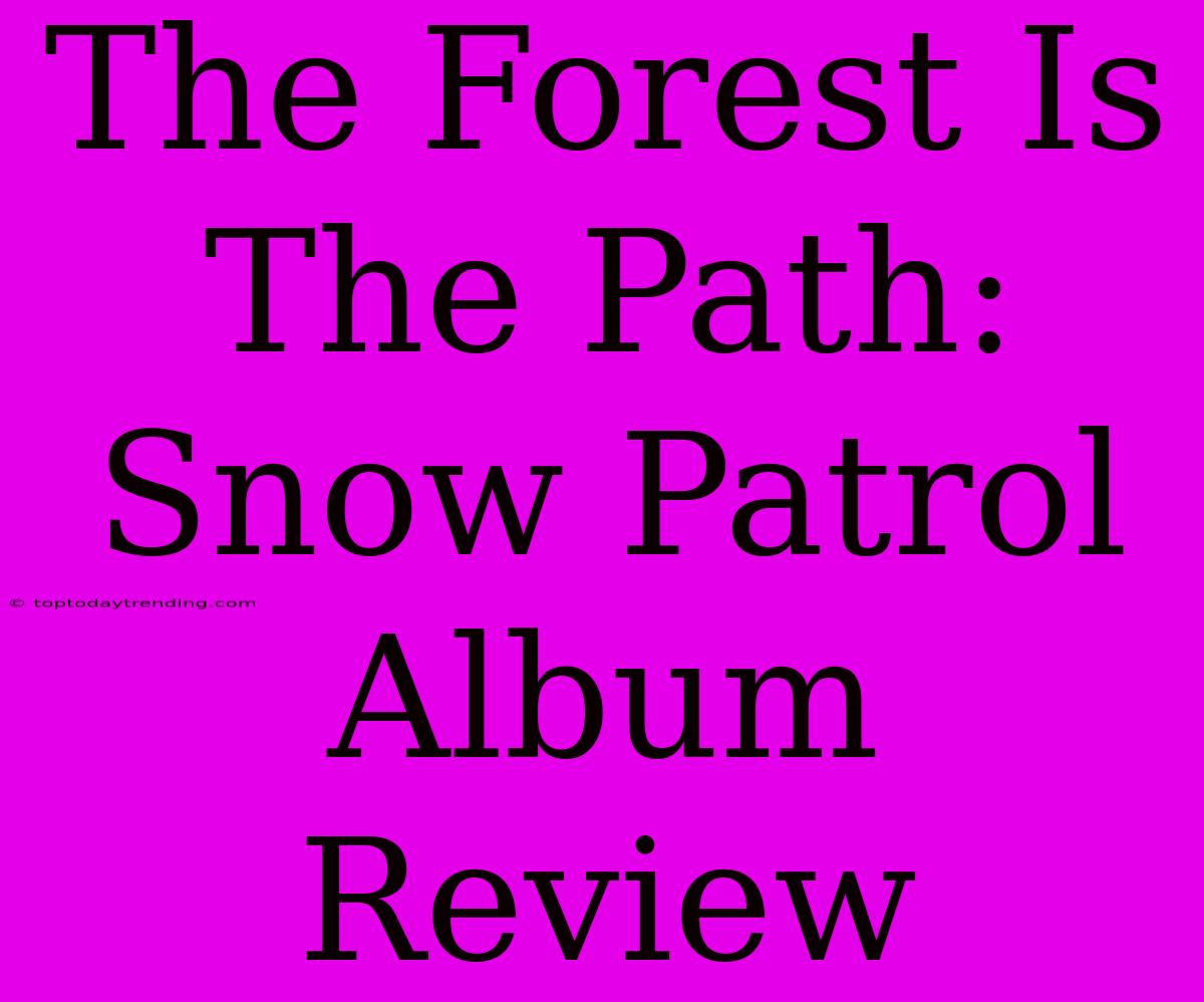 The Forest Is The Path: Snow Patrol Album Review