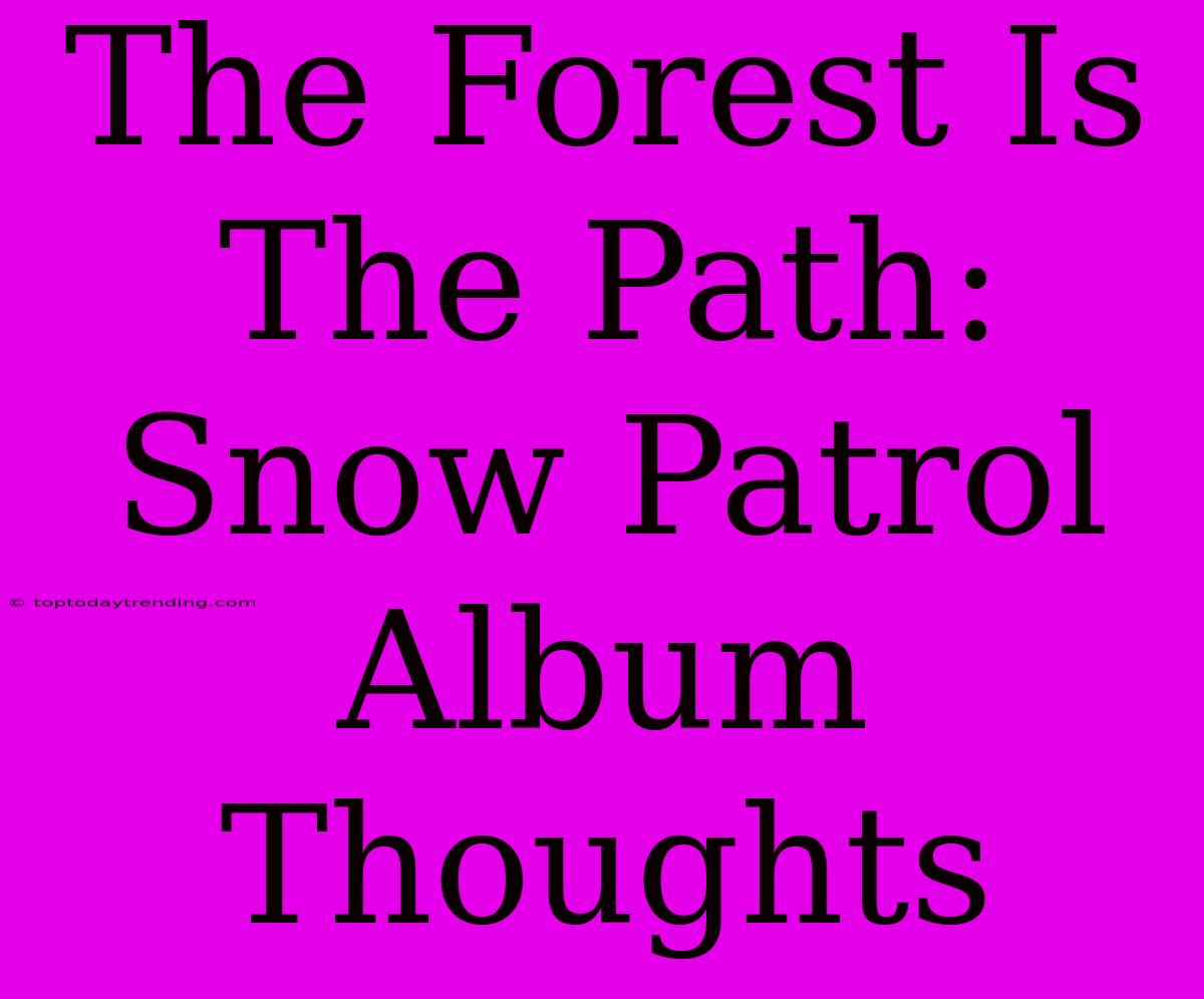 The Forest Is The Path: Snow Patrol Album Thoughts