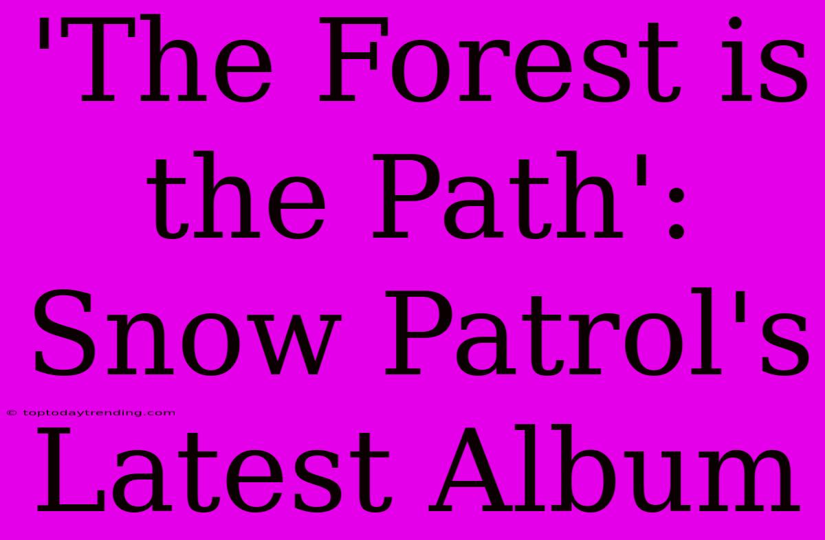 'The Forest Is The Path': Snow Patrol's Latest Album