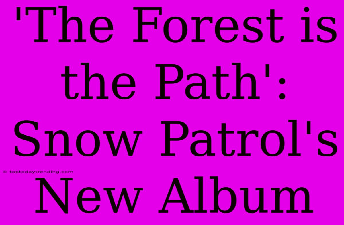 'The Forest Is The Path': Snow Patrol's New Album