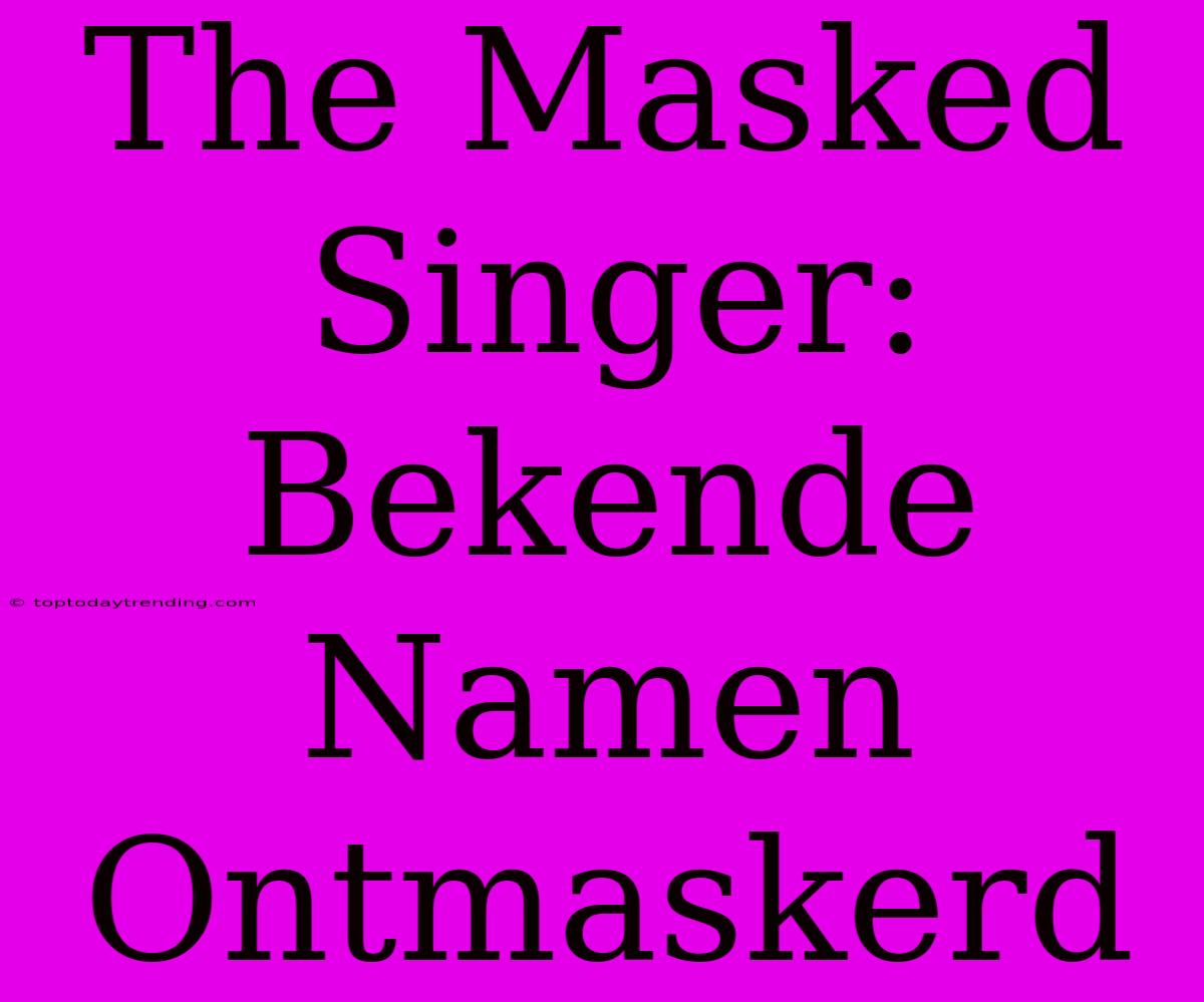 The Masked Singer: Bekende Namen Ontmaskerd