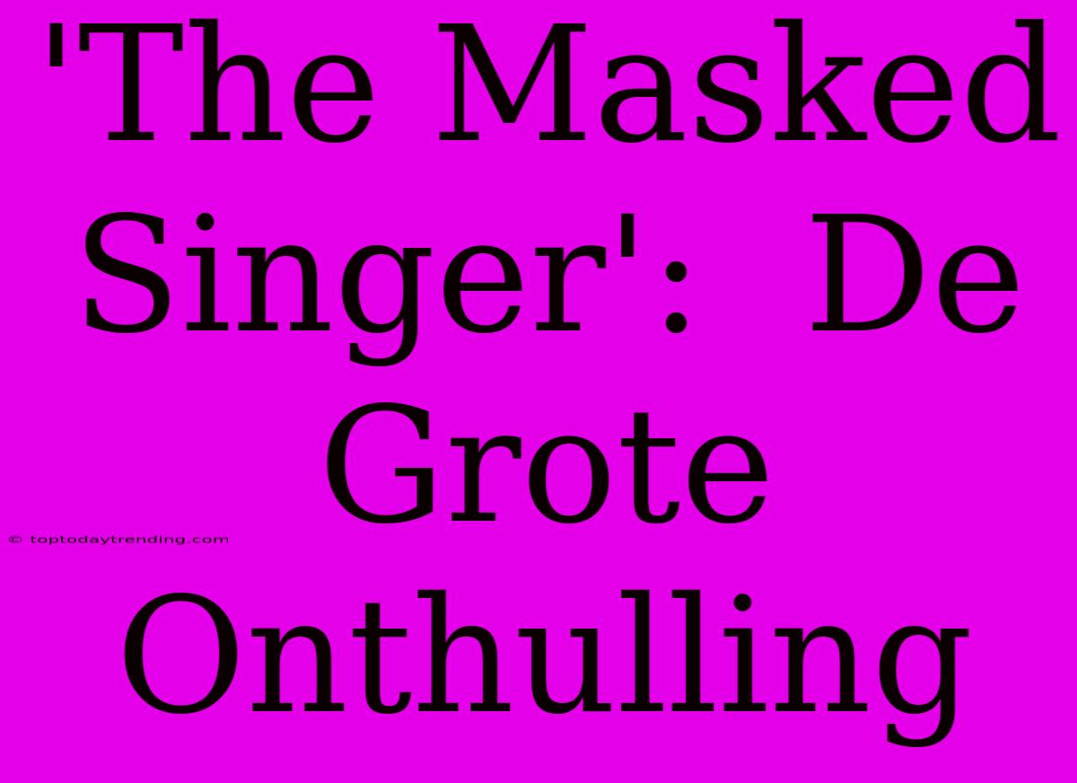 'The Masked Singer':  De Grote Onthulling