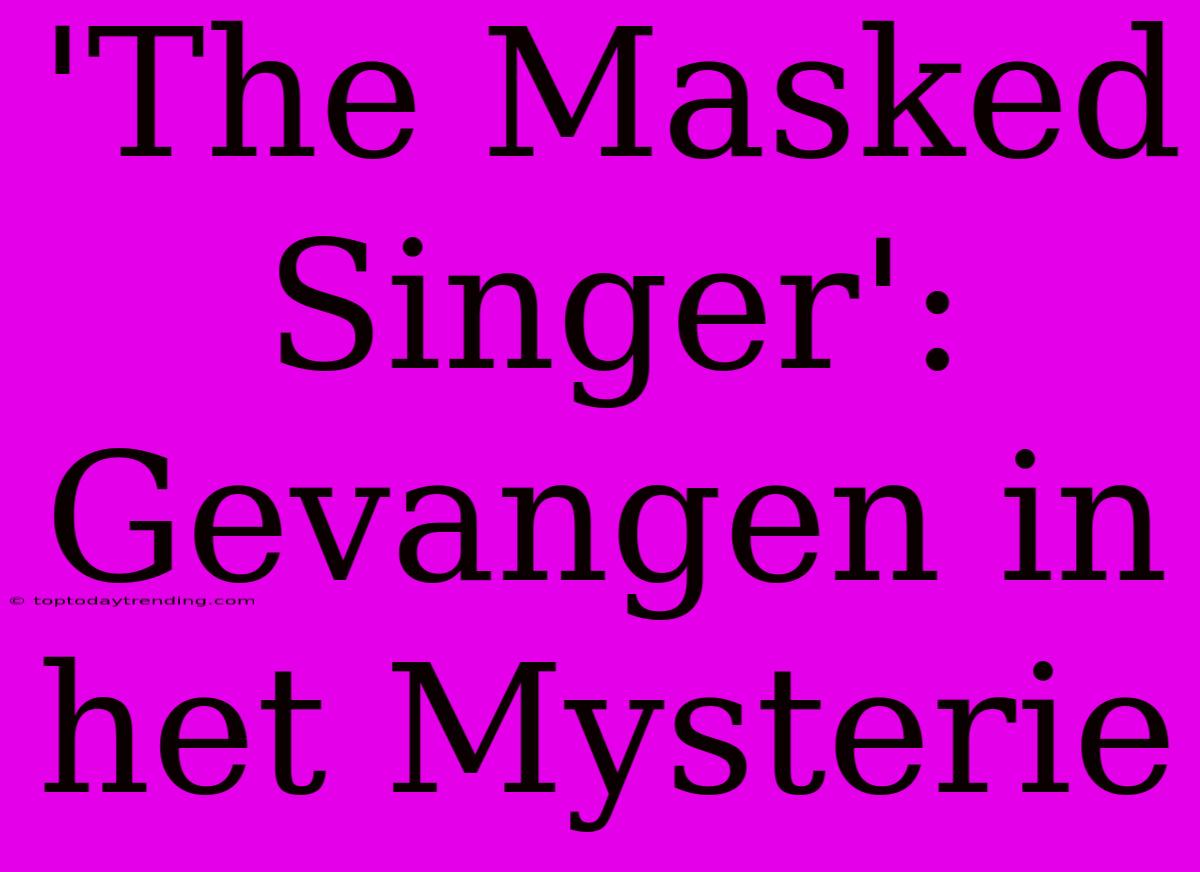 'The Masked Singer':  Gevangen In Het Mysterie