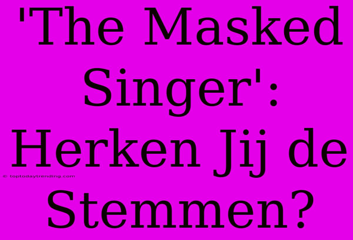 'The Masked Singer': Herken Jij De Stemmen?