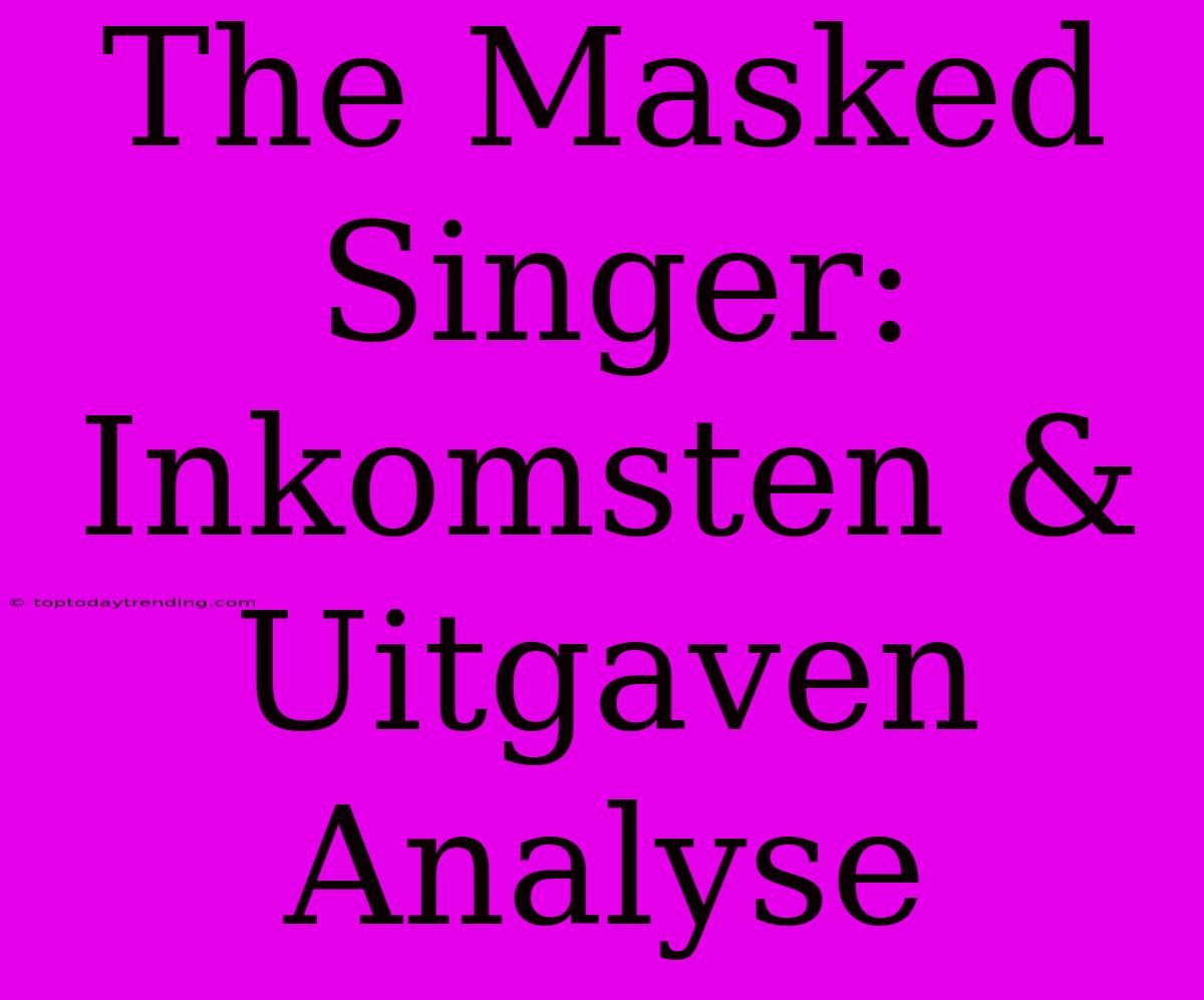 The Masked Singer: Inkomsten & Uitgaven Analyse